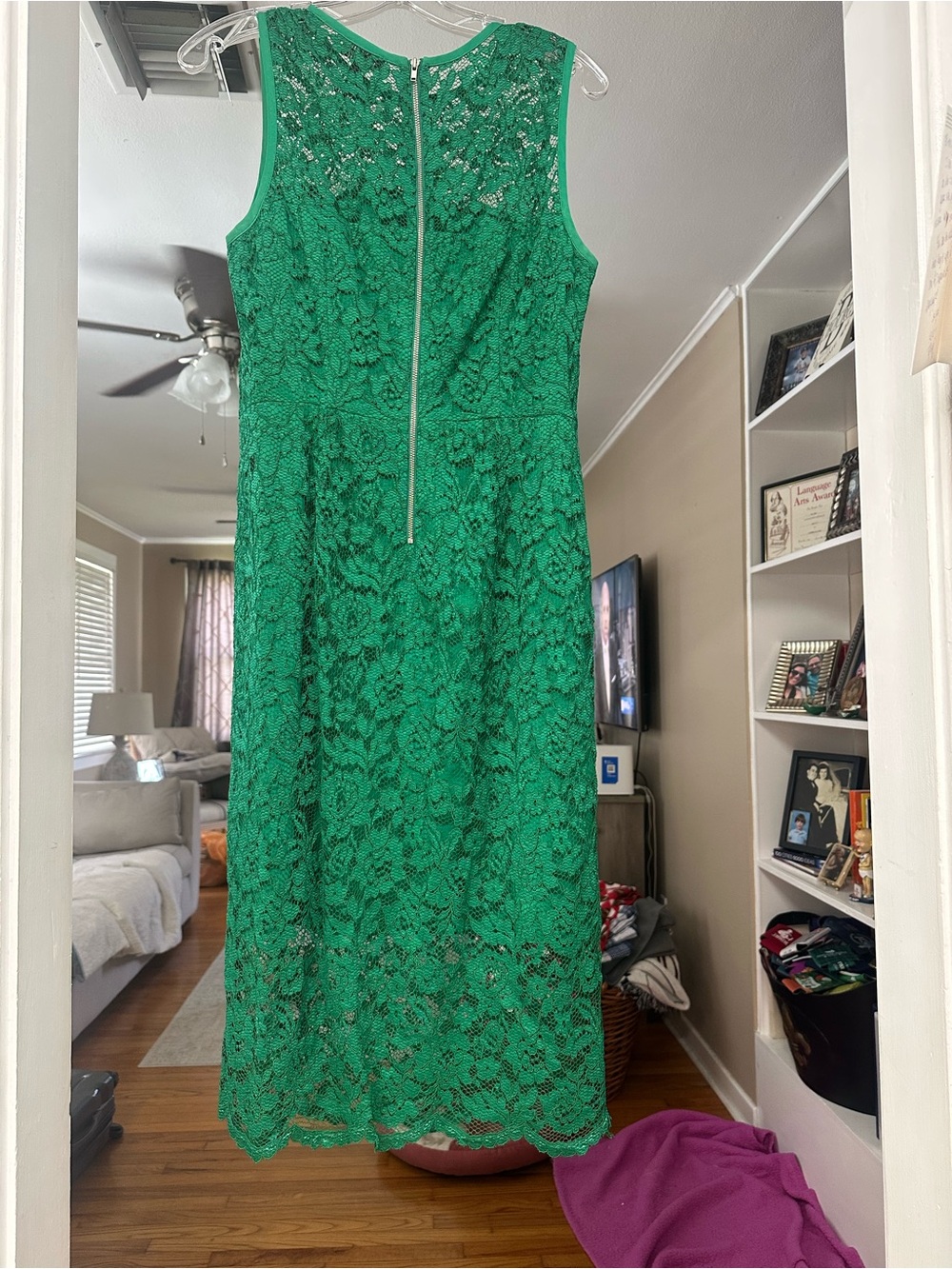 The Limited Emerald Green Lace Midi Dress